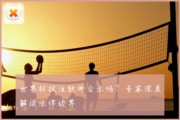 世界杯投注软件合法吗？专家深度解读法律边界