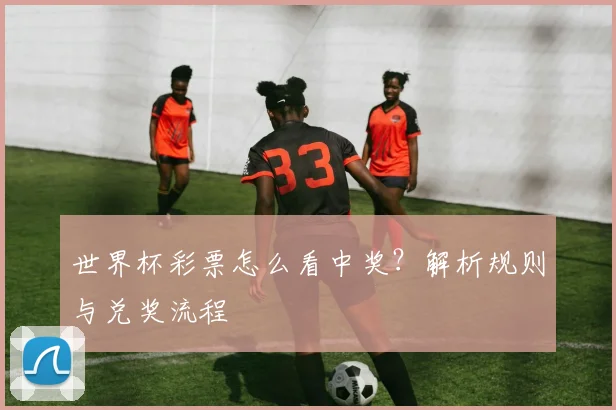 世界杯彩票怎么看中奖?解析规则与兑奖流程