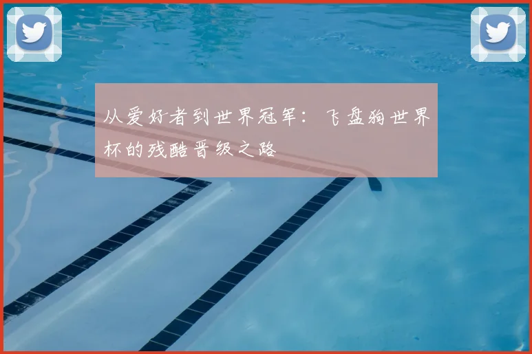 从爱好者到世界冠军：飞盘狗世界杯的残酷晋级之路
