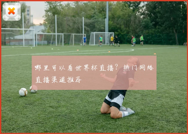 哪里可以看世界杯直播?热门网络直播渠道推荐