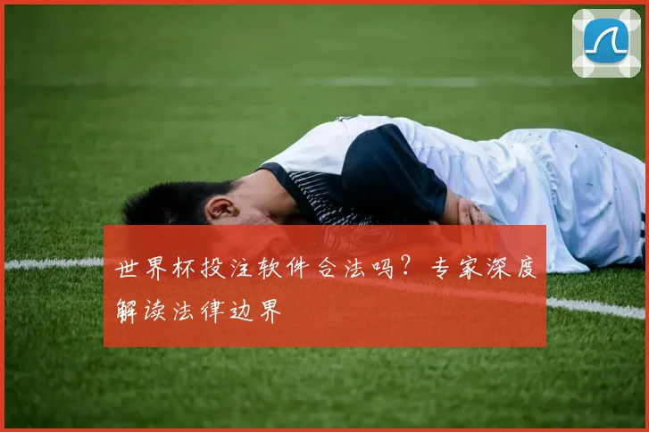 世界杯投注软件合法吗？专家深度解读法律边界