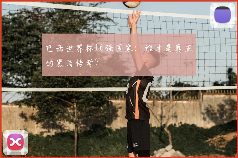 巴西世界杯16强国家:谁才是真正的黑马传奇?